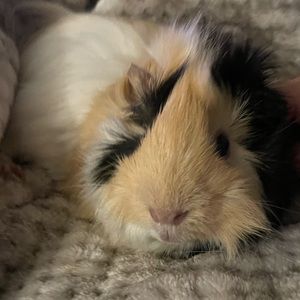 Meet your Posher, Eileen